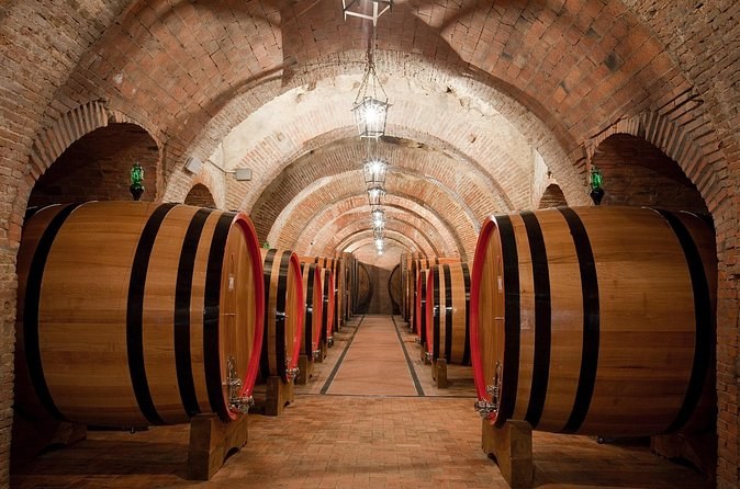 A long brick-vaulted cellar tunnel with casks standing in rows down both sides