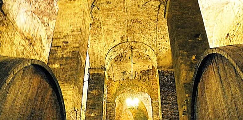 Casks standing under a lit stone vault