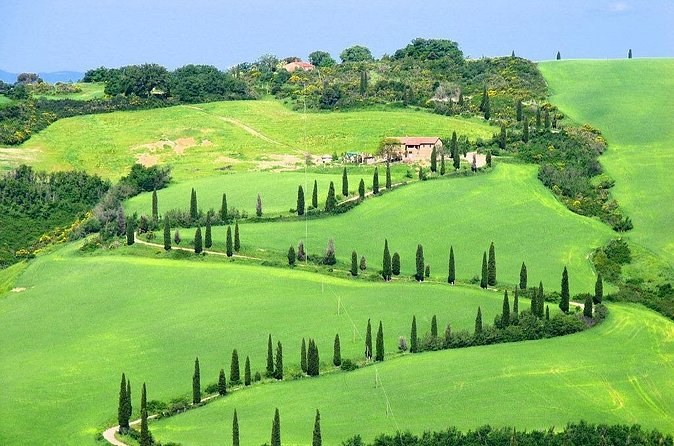 A cypress-lined track curving over the green hills of the Val d'Orcia, across the valley from Montepulciano