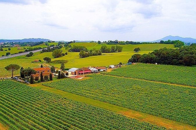 Farm buildings among ploughed fields and vineyards in the Valdichiana