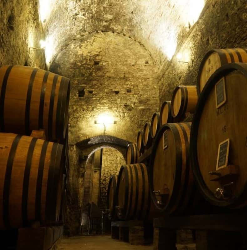 Montepulciano: Wine Tasting and Cellar Tour