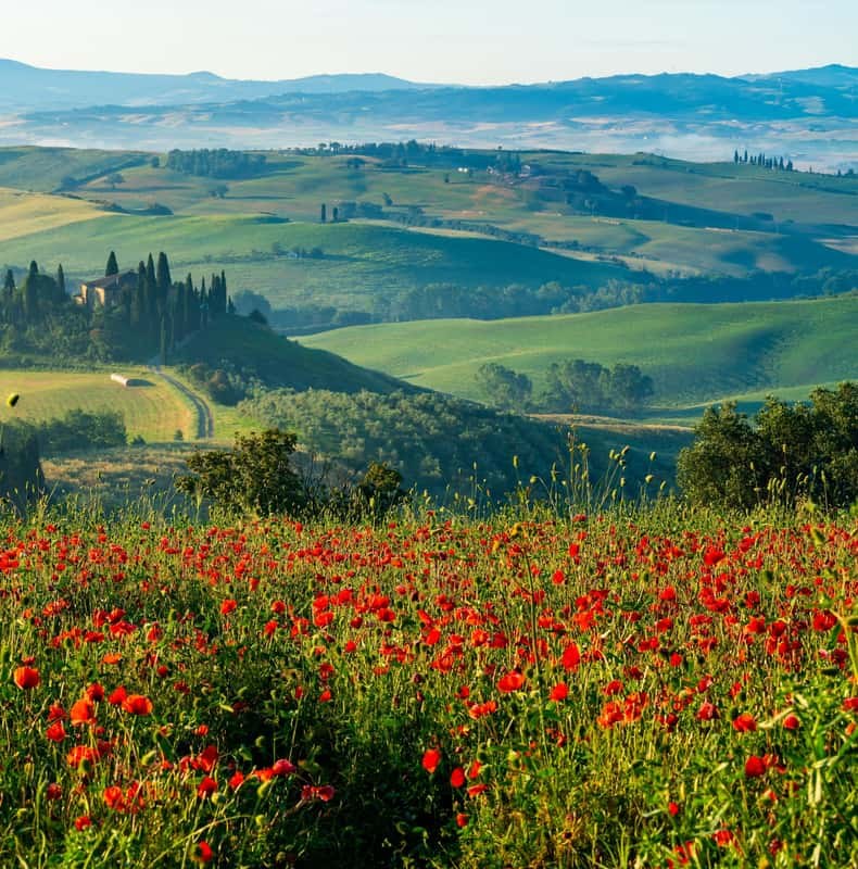 Rome: Tuscany & Montepulciano Day Trip with Lunch & Wines